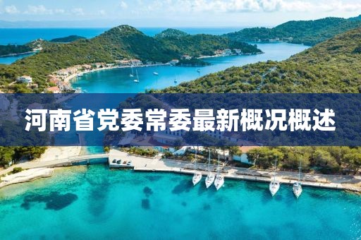 河南省党委常委最新概况概述
