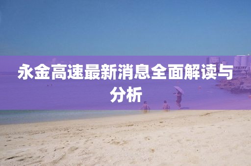 永金高速最新消息全面解读与分析