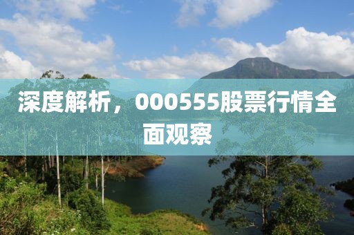 深度解析，000555股票行情全面观察