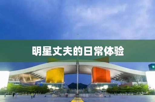 明星丈夫的日常体验