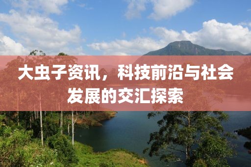 大虫子资讯，科技前沿与社会发展的交汇探索
