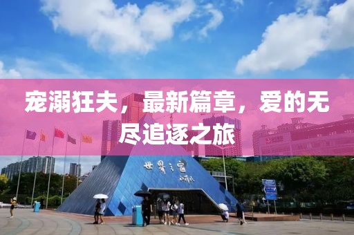 宠溺狂夫，最新篇章，爱的无尽追逐之旅