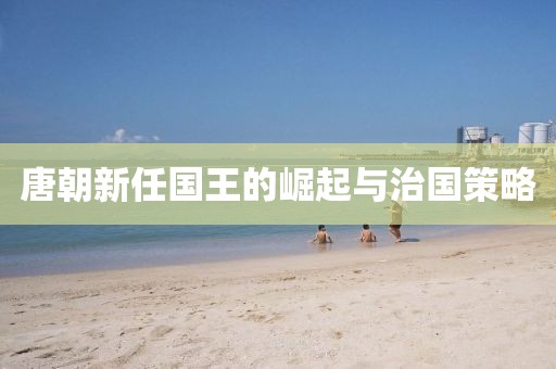 唐朝新任国王的崛起与治国策略