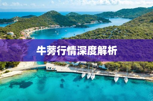 牛蒡行情深度解析