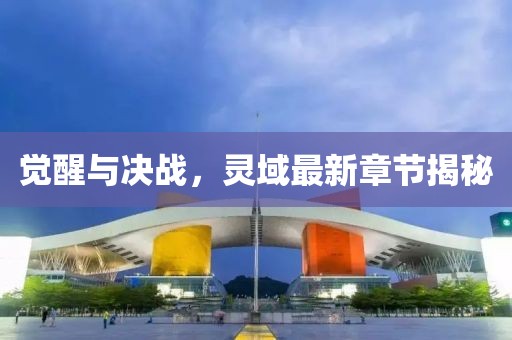 觉醒与决战，灵域最新章节揭秘