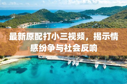 最新原配打小三视频，揭示情感纷争与社会反响