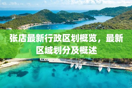 张店最新行政区划概览，最新区域划分及概述