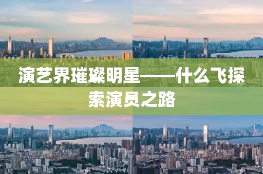 演艺界璀璨明星——什么飞探索演员之路