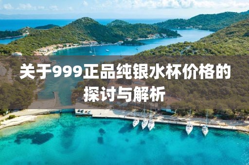 关于999正品纯银水杯价格的探讨与解析
