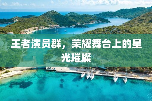 王者演员群，荣耀舞台上的星光璀璨
