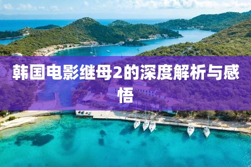 韩国电影继母2的深度解析与感悟