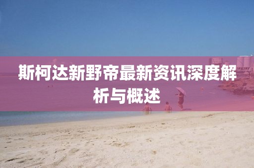 斯柯达新野帝最新资讯深度解析与概述