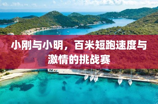 小刚与小明，百米短跑速度与激情的挑战赛
