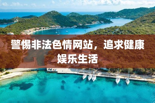 警惕非法色情网站，追求健康娱乐生活