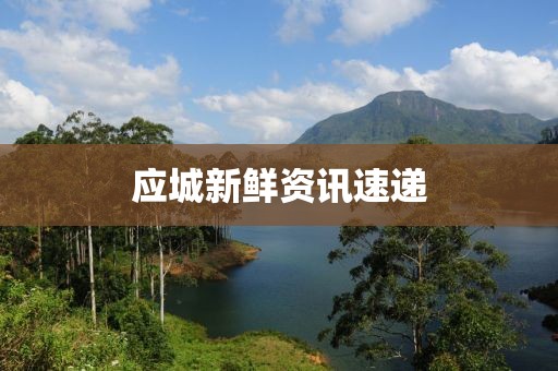应城新鲜资讯速递