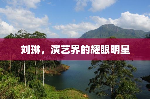 刘琳，演艺界的耀眼明星