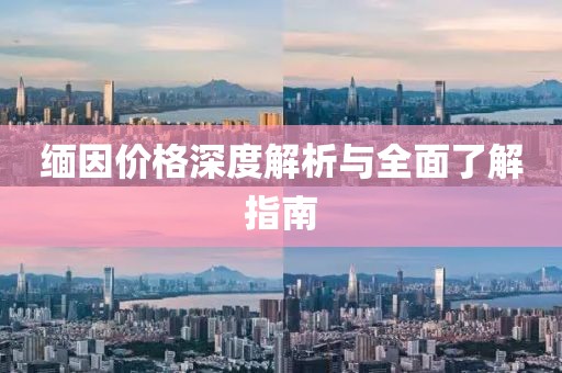 缅因价格深度解析与全面了解指南