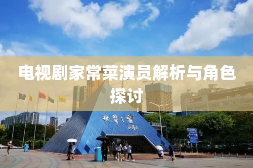 电视剧家常菜演员解析与角色探讨