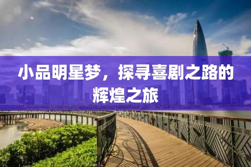 小品明星梦，探寻喜剧之路的辉煌之旅