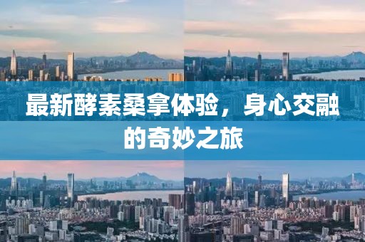 最新酵素桑拿体验，身心交融的奇妙之旅