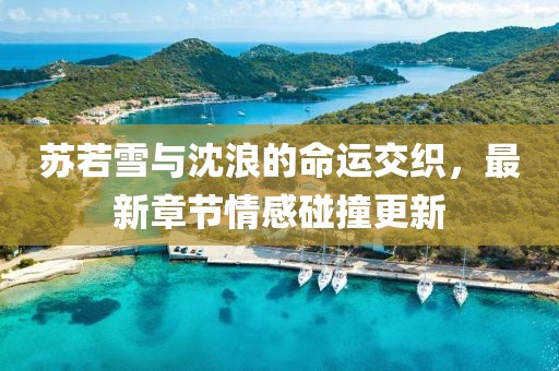 苏若雪与沈浪的命运交织，最新章节情感碰撞更新