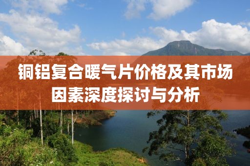 铜铝复合暖气片价格及其市场因素深度探讨与分析