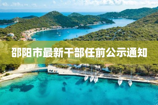 咫尺岸 第18页