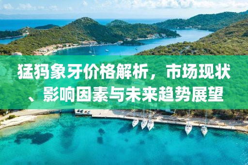 猛犸象牙价格解析，市场现状、影响因素与未来趋势展望