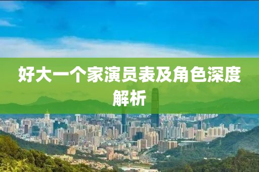好大一个家演员表及角色深度解析