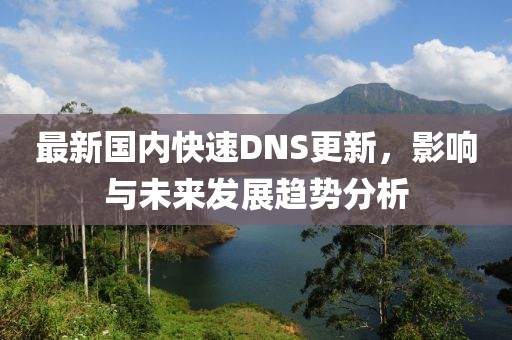 最新国内快速DNS更新，影响与未来发展趋势分析
