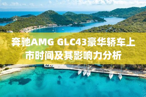 咫尺岸 第17页