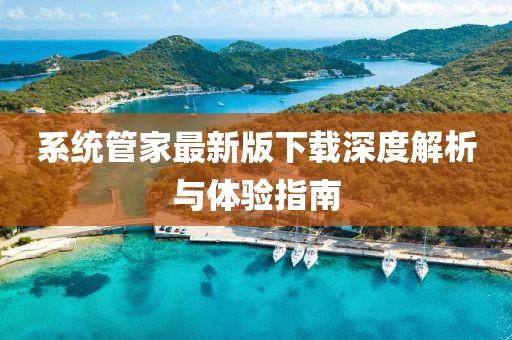 系统管家最新版下载深度解析与体验指南