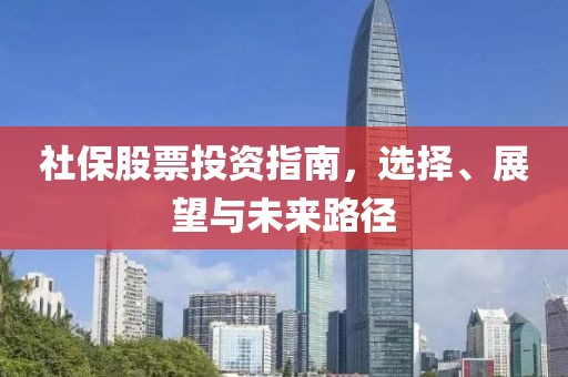 社保股票投资指南，选择、展望与未来路径