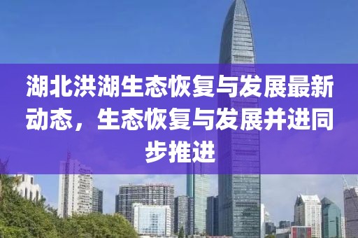 湖北洪湖生态恢复与发展最新动态，生态恢复与发展并进同步推进