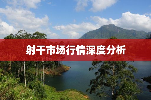 射干市场行情深度分析