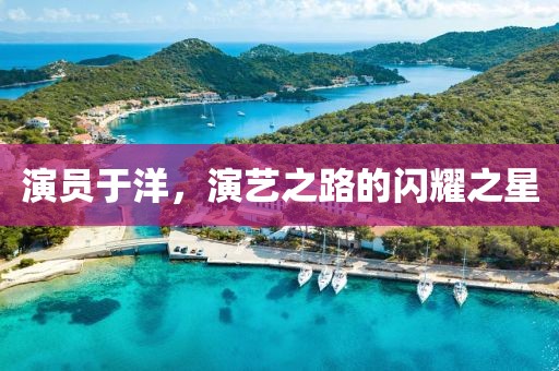 演员于洋，演艺之路的闪耀之星
