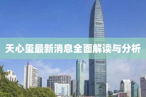 天心玺最新消息全面解读与分析