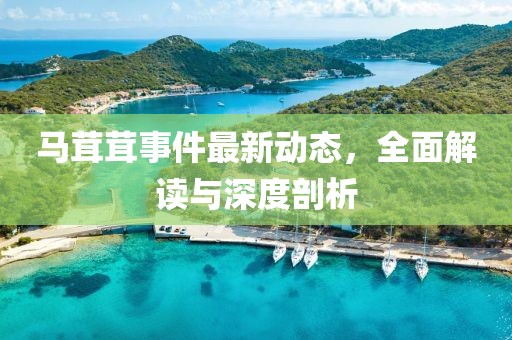 马茸茸事件最新动态，全面解读与深度剖析