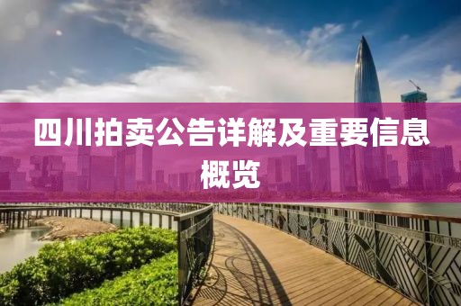 四川拍卖公告详解及重要信息概览