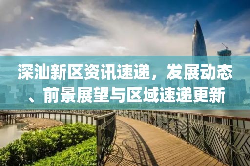 深汕新区资讯速递，发展动态、前景展望与区域速递更新