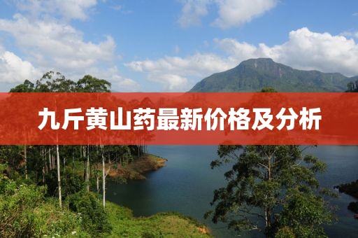 九斤黄山药最新价格及分析