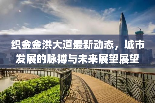 织金金洪大道最新动态，城市发展的脉搏与未来展望展望