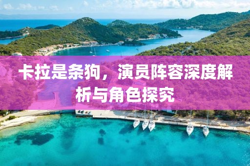 卡拉是条狗，演员阵容深度解析与角色探究