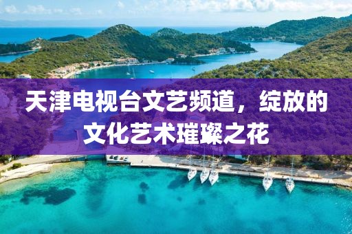 天津电视台文艺频道，绽放的文化艺术璀璨之花