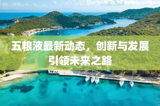 五粮液最新动态，创新与发展引领未来之路