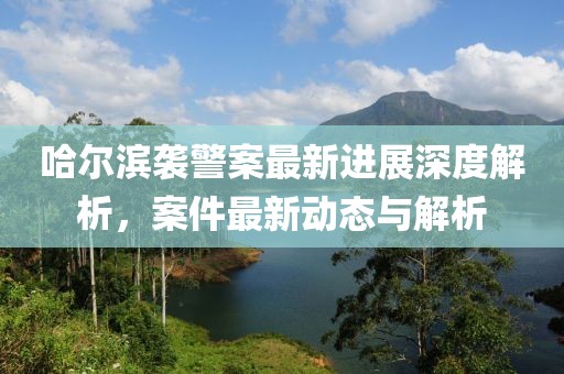 哈尔滨袭警案最新进展深度解析，案件最新动态与解析