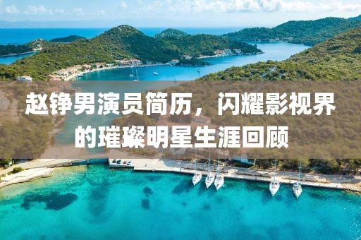 赵铮男演员简历，闪耀影视界的璀璨明星生涯回顾