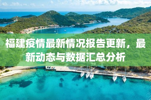 福建疫情最新情况报告更新，最新动态与数据汇总分析