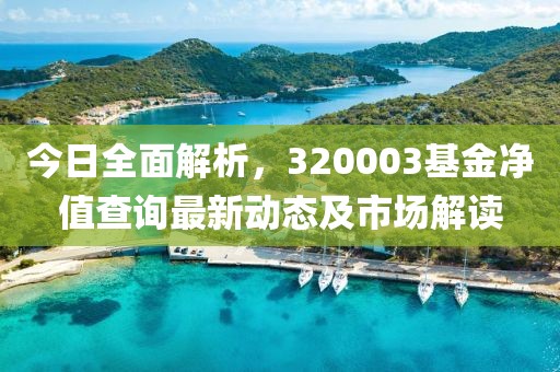 今日全面解析，320003基金净值查询最新动态及市场解读