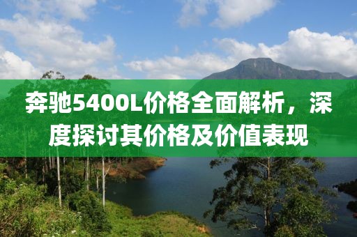 大男孩 第13页